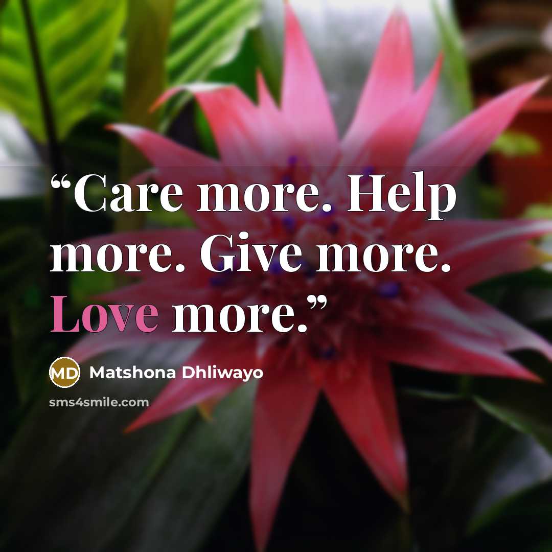 “Care more. Help more. Give more. Love more.” quote by Matshona Dhliwayo