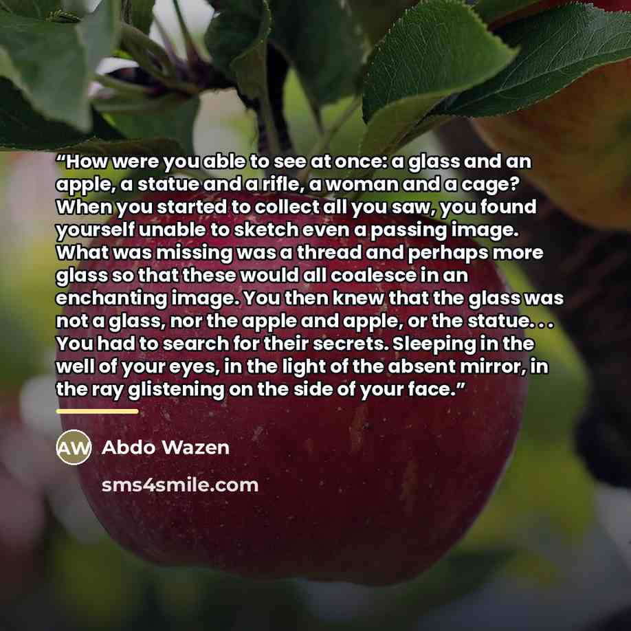 “How were you able to see at once: a glass and an apple, a statue and a rifle, a woman and a cage? When you started to collect all you saw, you found yourself unable to sketch even a passing image. What was missing was a thread and perhaps more glass so that these would all coalesce in an…” quote by Abdo Wazen