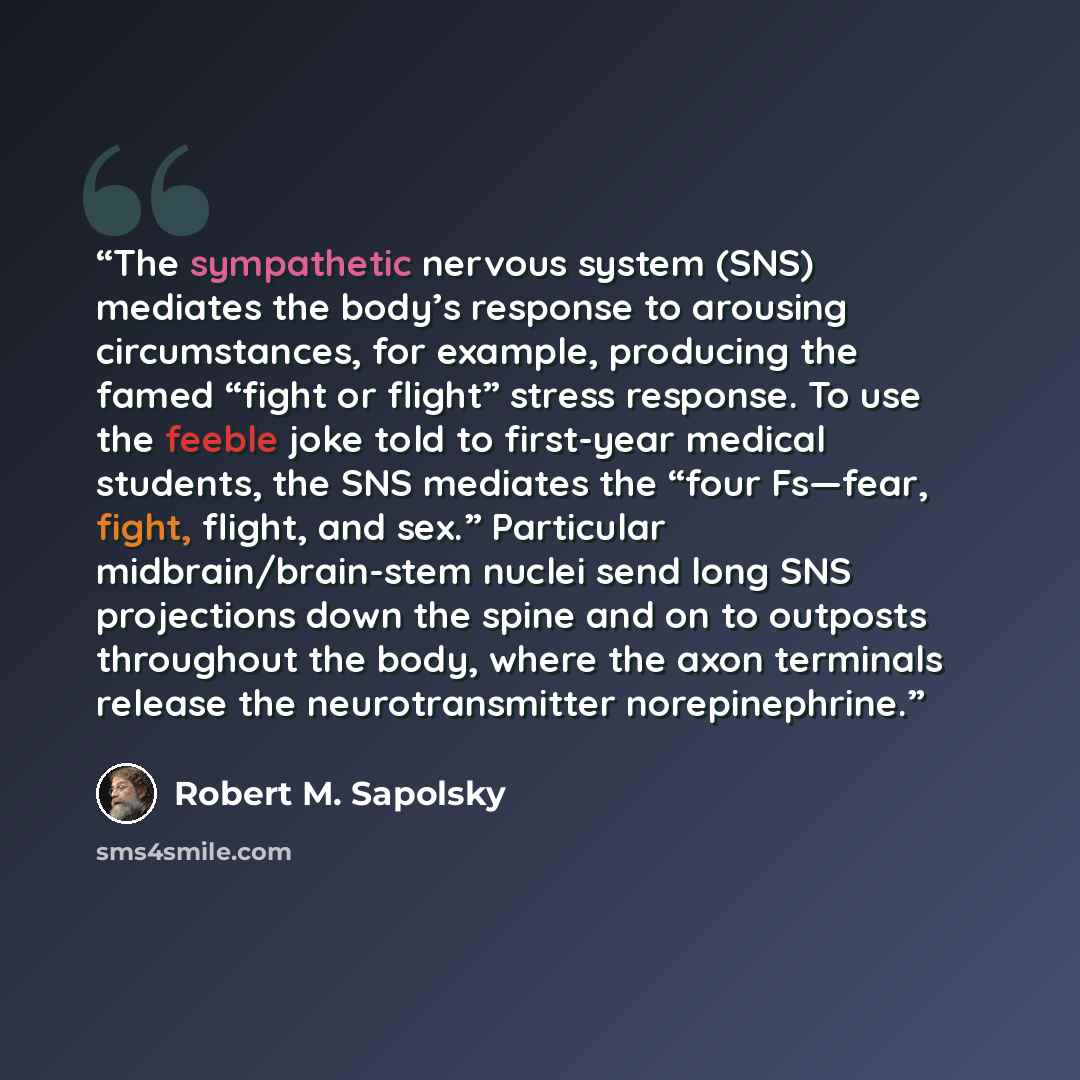 “The sympathetic nervous system (SNS) mediates the body’s response to arousing circumstances, for example, producing the famed “fight or flight” stress response. To use the feeble joke told to first-year medical students, the SNS mediates the “four Fs—fear, fight, flight, and sex.” Particular…” quote by Robert M. Sapolsky