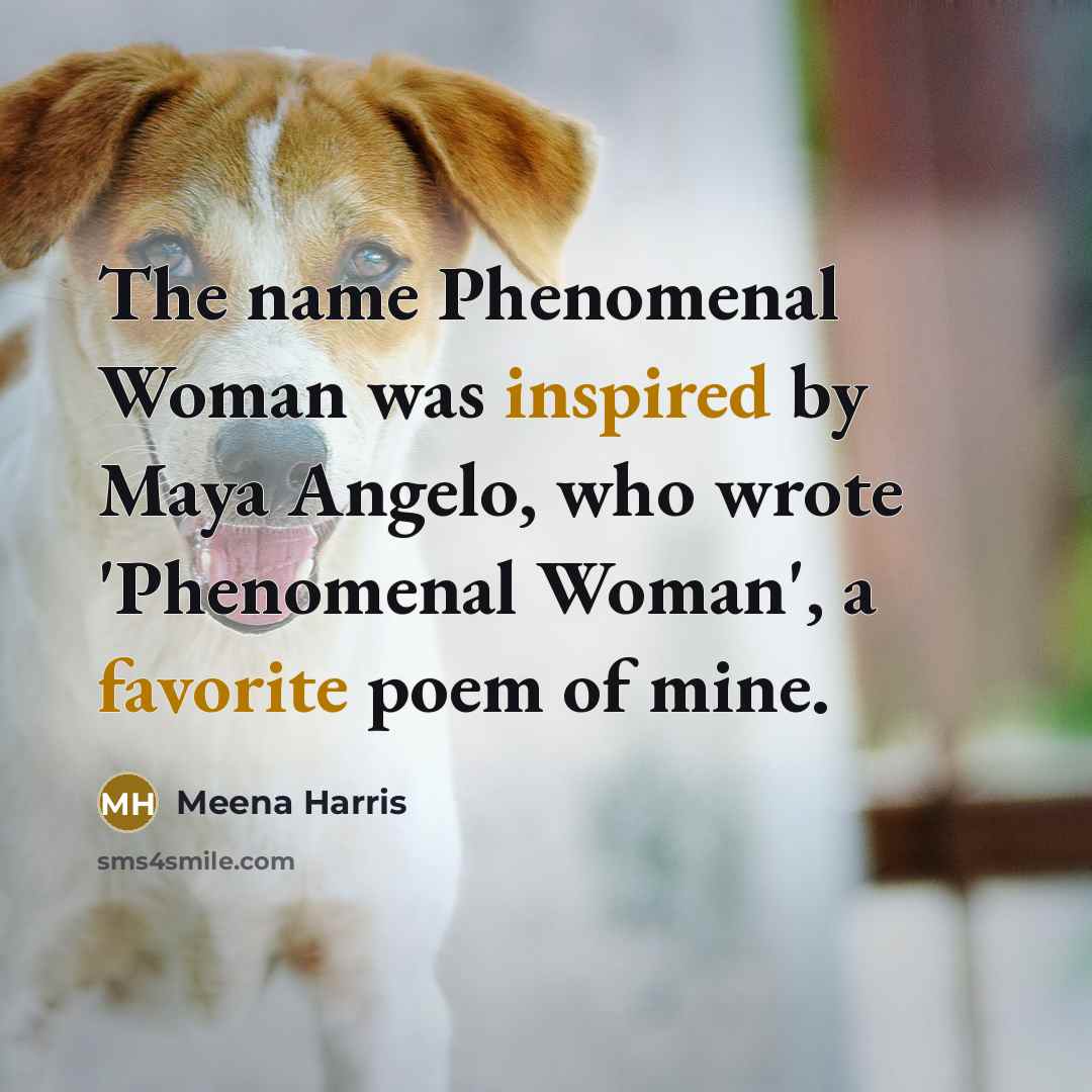 “The name Phenomenal Woman was inspired by Maya Angelo, who wrote 'Phenomenal Woman', a favorite poem of mine.” quote by Meena Harris