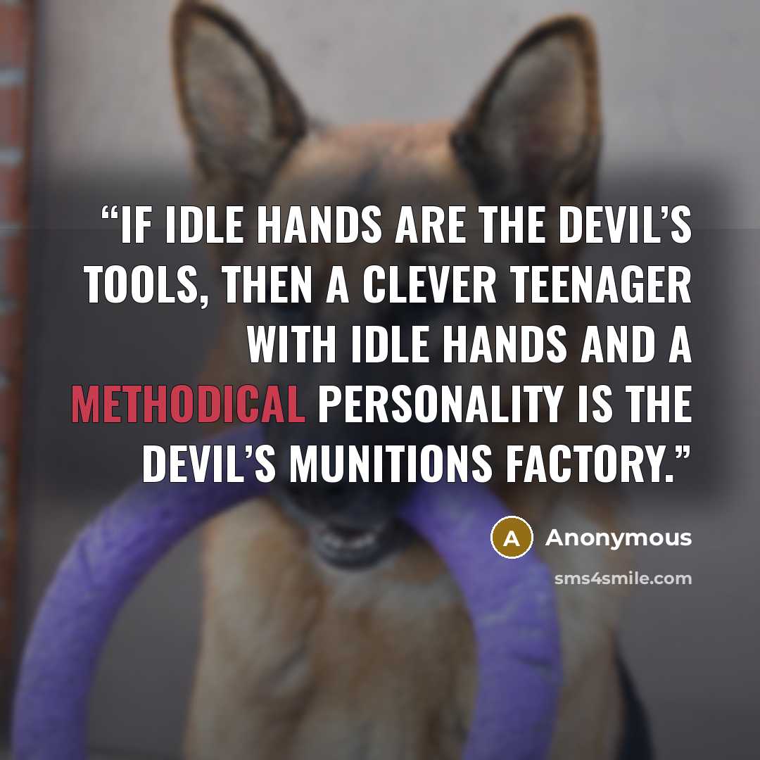“If idle hands are the devil’s tools, then a clever teenager with idle hands and a methodical personality is the devil’s munitions factory.” quote by Anonymous