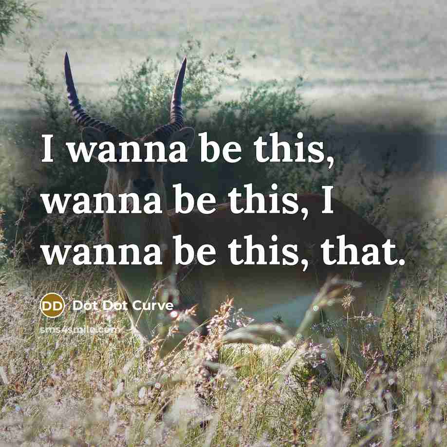 “I wanna be this, wanna be this, I wanna be this, that.” quote by Dot Dot Curve