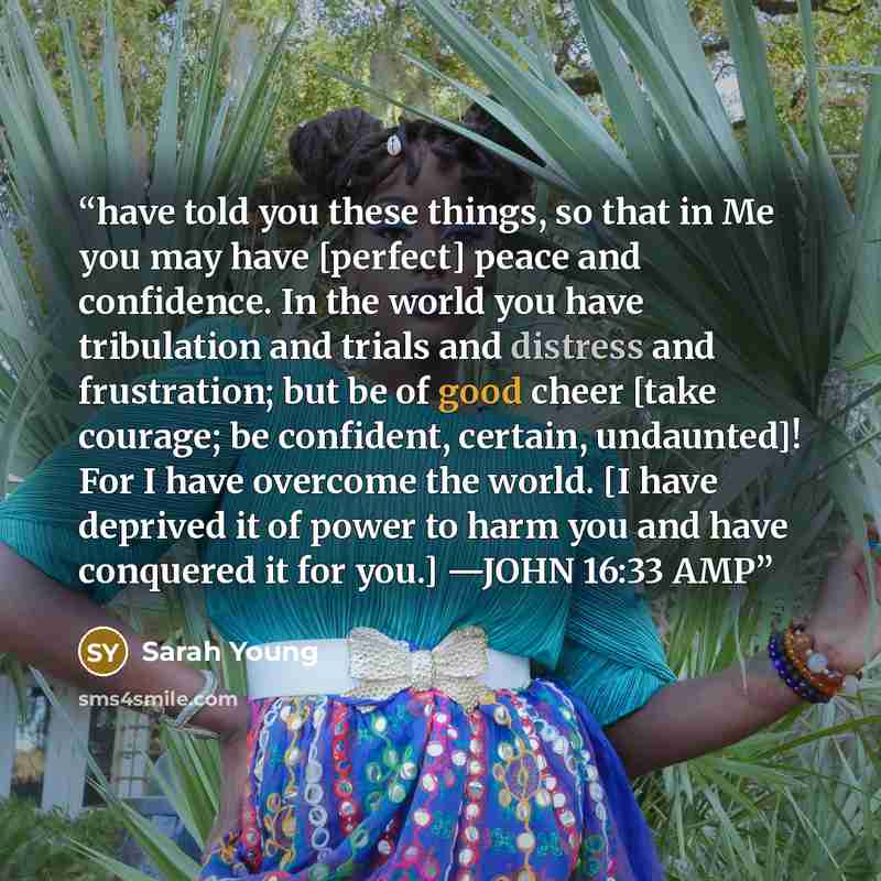 “have told you these things, so that in Me you may have [perfect] peace and confidence. In the world you have tribulation and trials and distress and frustration; but be of good cheer [take courage; be confident, certain, undaunted]! For I have overcome the world. [I have deprived it of power to…” quote by Sarah Young