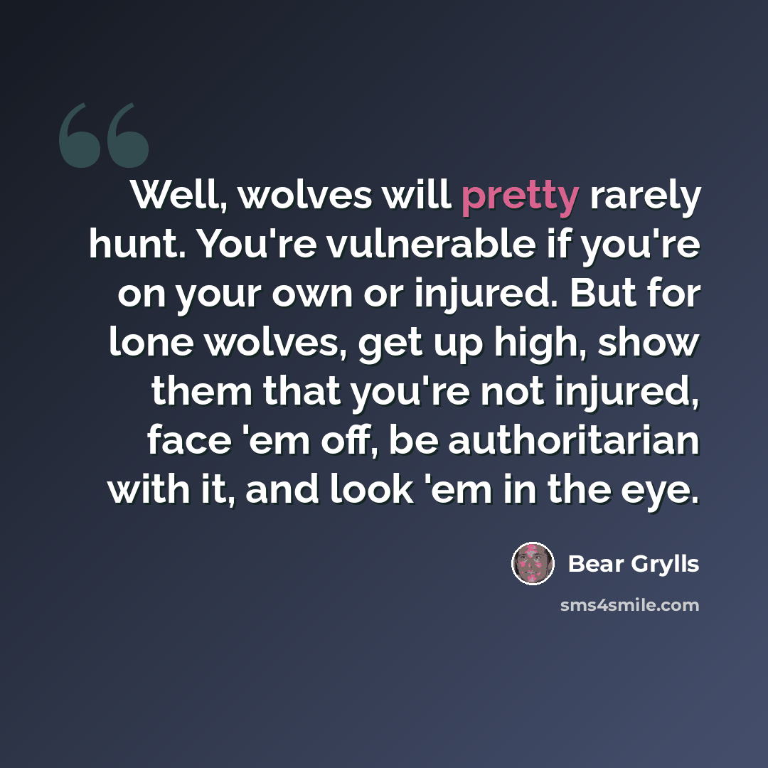 “Well, wolves will pretty rarely hunt. You're vulnerable if you're on your own or injured. But for lone wolves, get up high, show them that you're not injured, face 'em off, be authoritarian with it, and look 'em in the eye.” quote by Bear Grylls