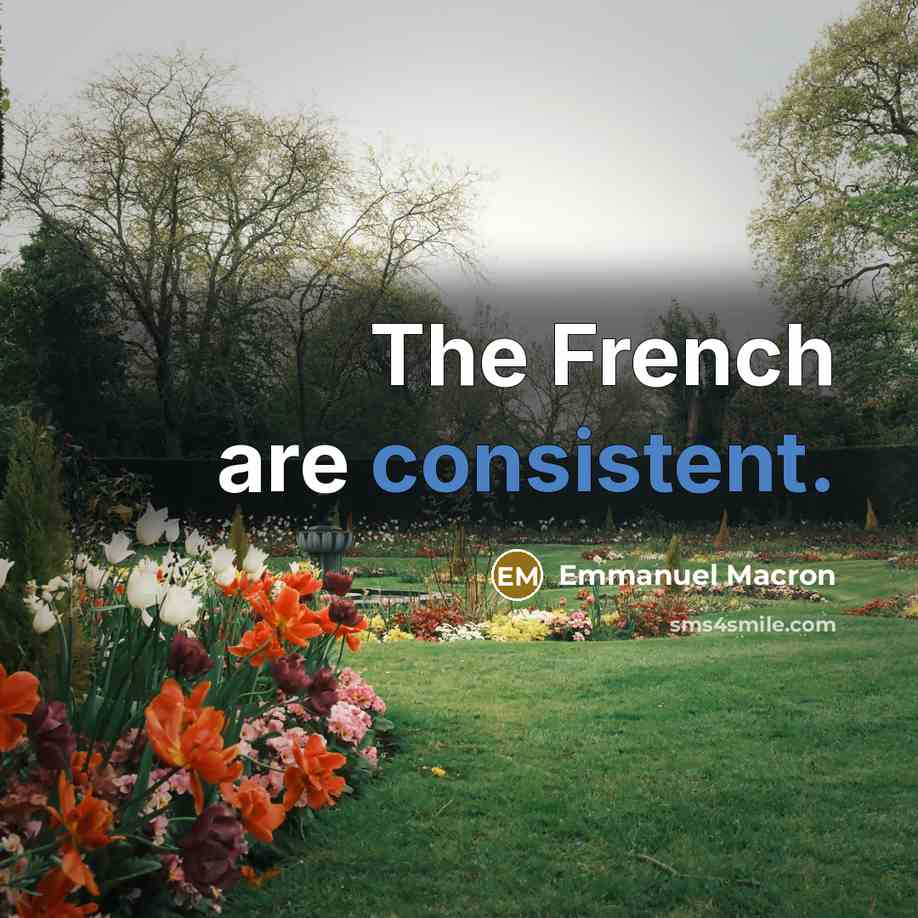 “The French are consistent.” quote by Emmanuel Macron