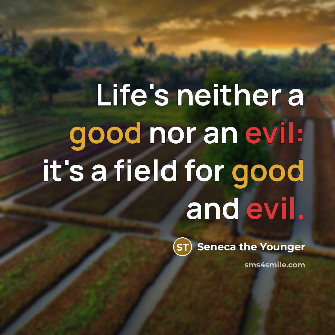 “Life's neither a good nor an evil: it's a field for good and evil.” quote by Seneca the Younger