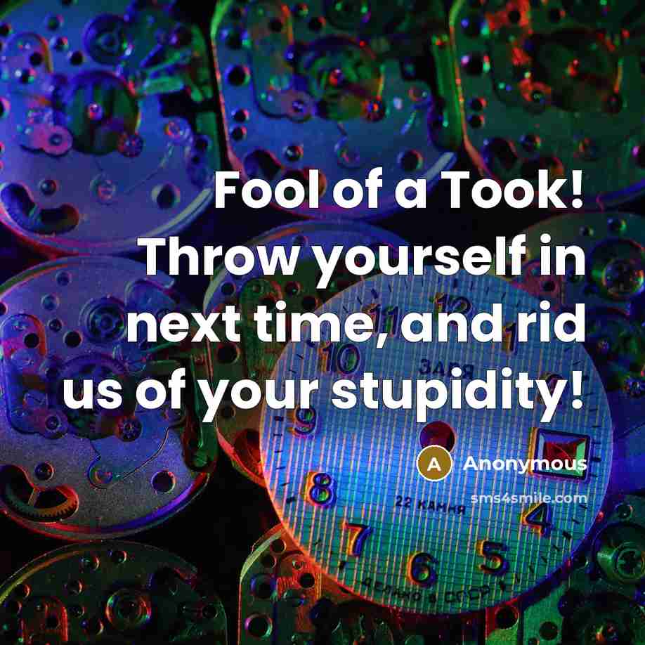 “Fool of a Took! Throw yourself in next time, and rid us of your stupidity!” quote by Anonymous