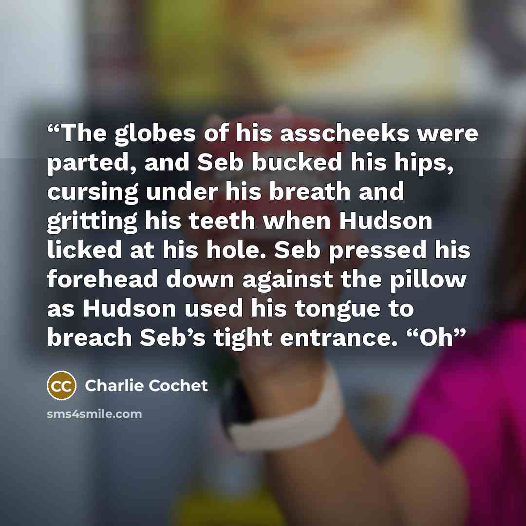 “The globes of his asscheeks were parted, and Seb bucked his hips, cursing under his breath and gritting his teeth when Hudson licked at his hole. Seb pressed his forehead down against the pillow as Hudson used his tongue to breach Seb’s tight entrance. “Oh” quote by Charlie Cochet