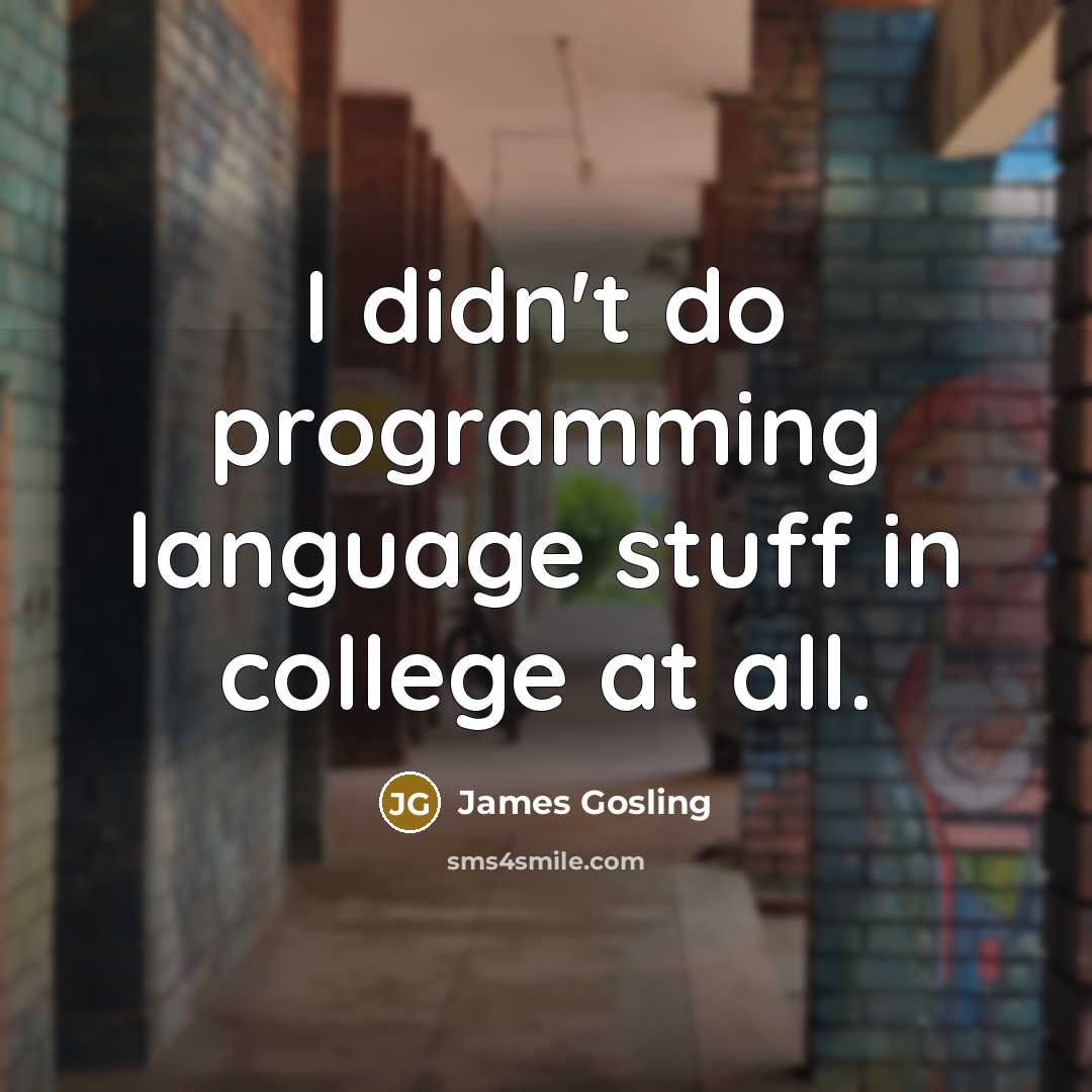 “I didn't do programming language stuff in college at all.” quote by James Gosling