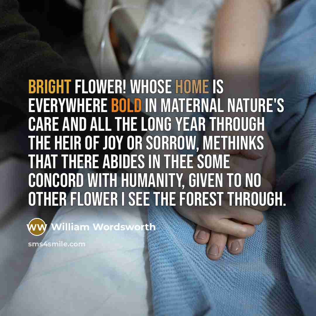 “Bright flower! whose home is everywhere Bold in maternal nature's care And all the long year through the heir Of joy or sorrow, Methinks that there abides in thee Some concord with humanity, Given to no other flower I see The forest through.” quote by William Wordsworth