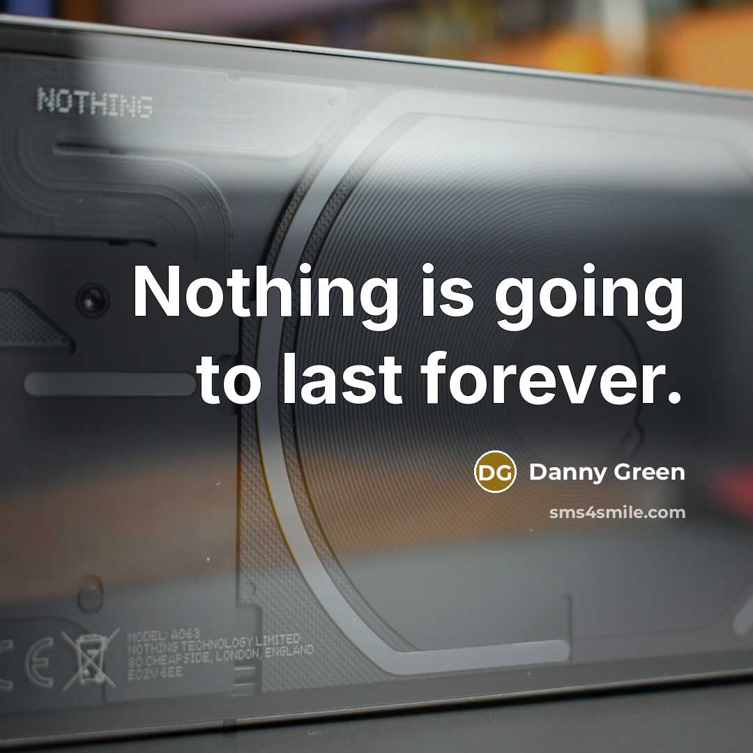 “Nothing is going to last forever.” quote by Danny Green