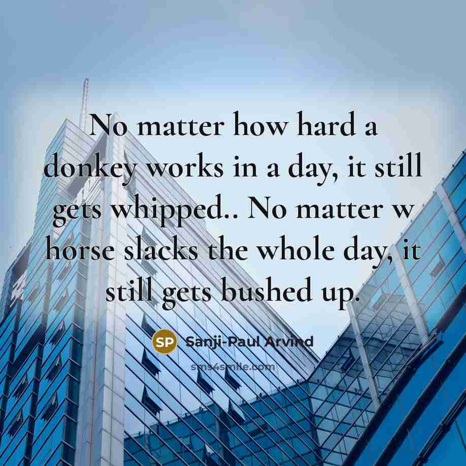 “No matter how hard a donkey works in a day, it still gets whipped.. No matter w horse slacks the whole day, it still gets bushed up.” quote by Sanji-Paul Arvind