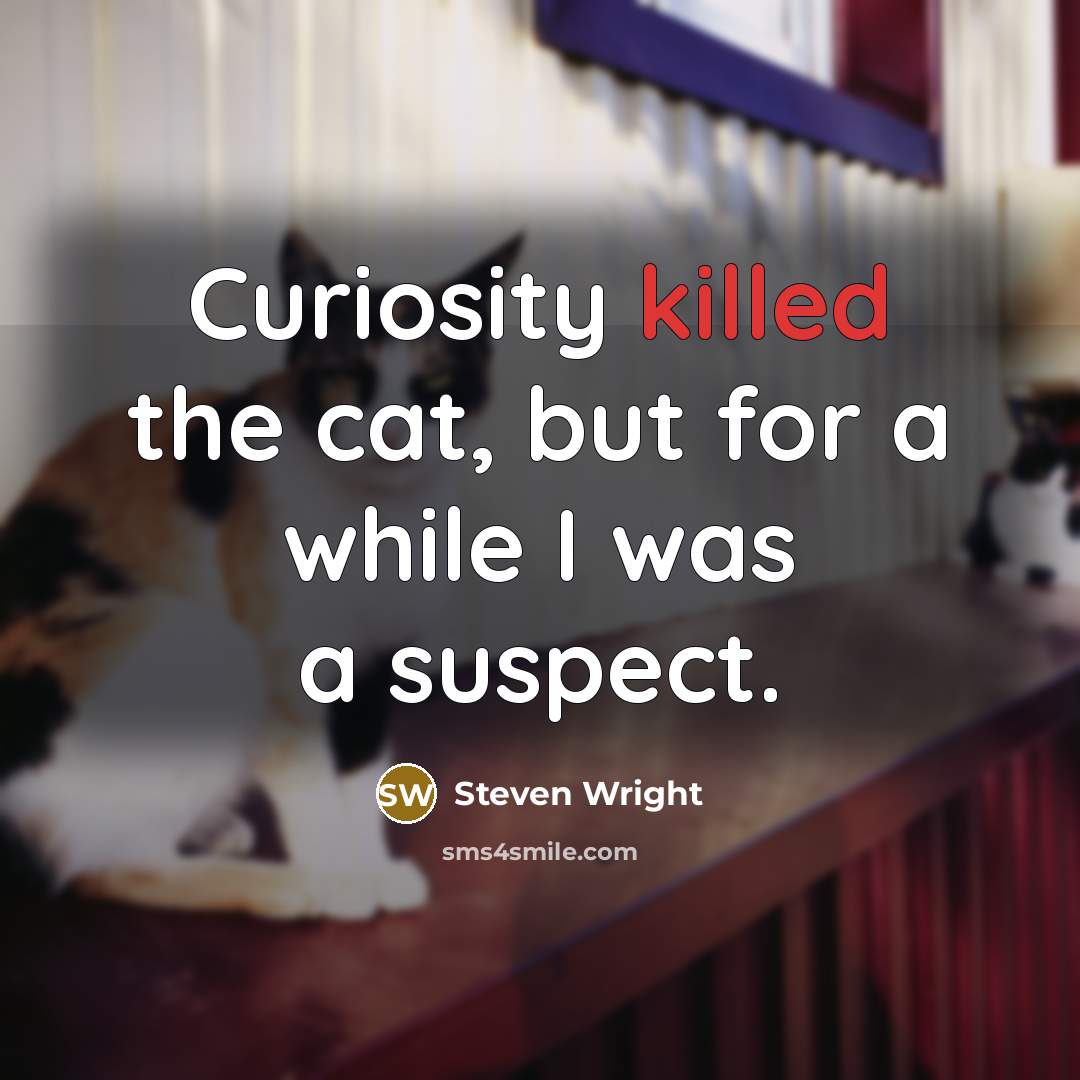 “Curiosity killed the cat, but for a while I was a suspect.” quote by Steven Wright