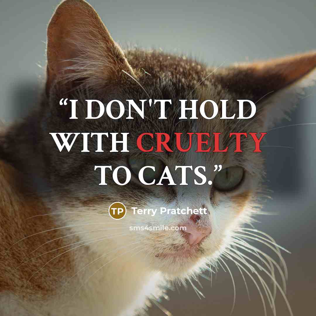 “I DON'T HOLD WITH CRUELTY TO CATS.” quote by Terry Pratchett