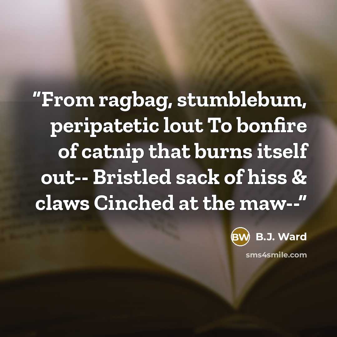“From ragbag, stumblebum, peripatetic lout To bonfire of catnip that burns itself out-- Bristled sack of hiss & claws Cinched at the maw--” quote by B.J. Ward