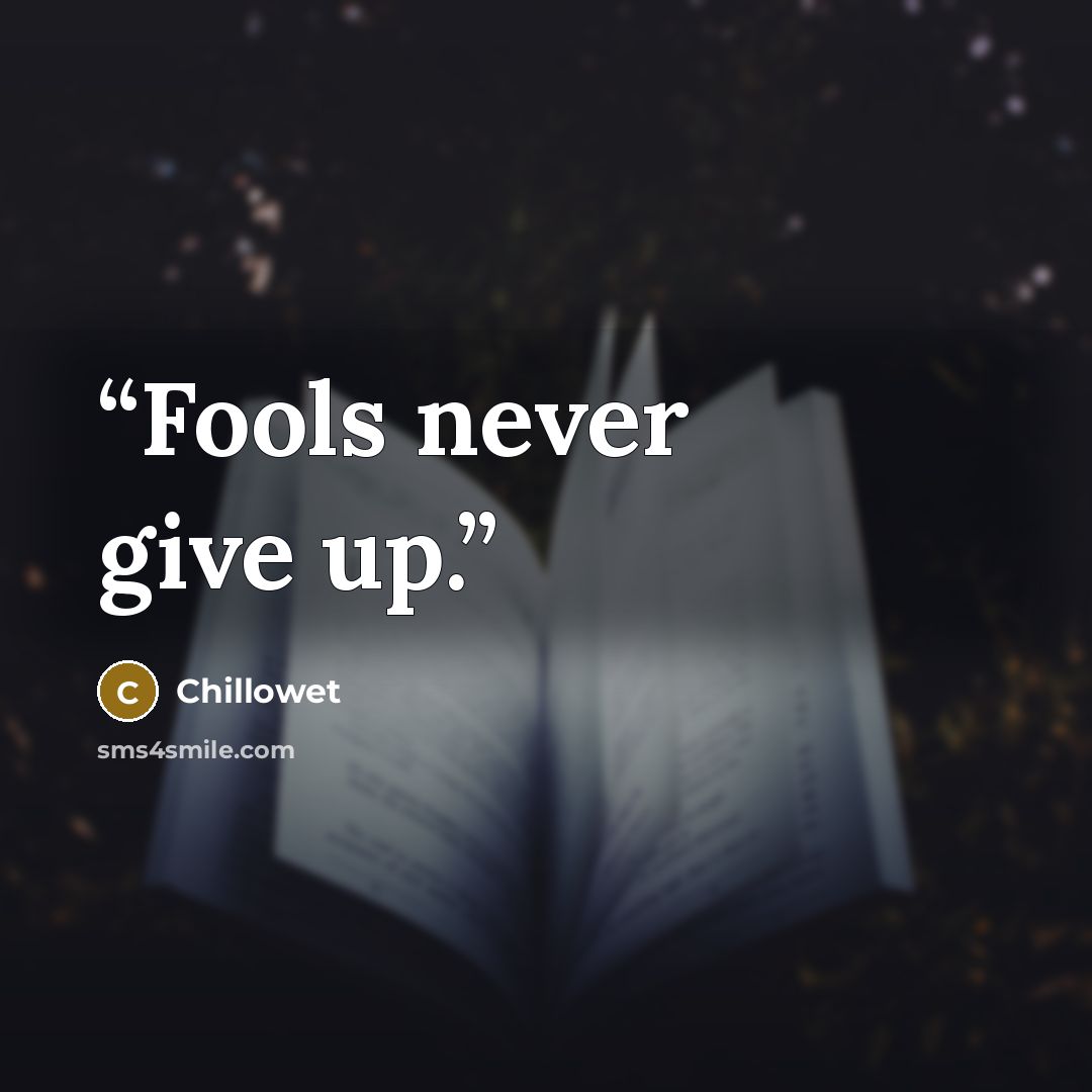 “Fools never give up.” quote by Chillowet