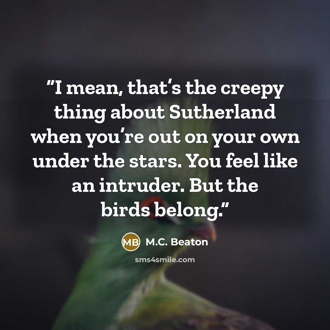 “I mean, that’s the creepy thing about Sutherland when you’re out on your own under the stars. You feel like an intruder. But the birds belong.” quote by M.C. Beaton