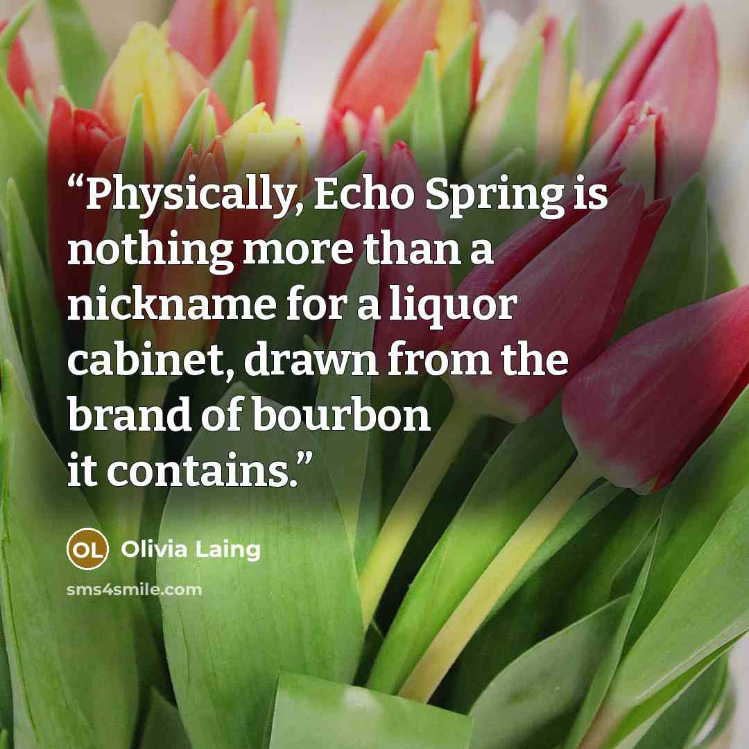 “Physically, Echo Spring is nothing more than a nickname for a liquor cabinet, drawn from the brand of bourbon it contains.” quote by Olivia Laing
