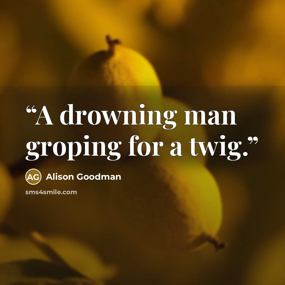 “A drowning man groping for a twig.” quote by Alison Goodman