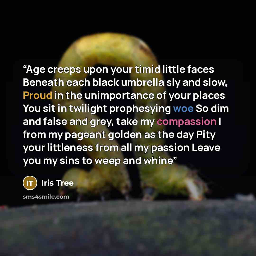 “Age creeps upon your timid little faces Beneath each black umbrella sly and slow, Proud in the unimportance of your places You sit in twilight prophesying woe So dim and false and grey, take my compassion I from my pageant golden as the day Pity your littleness from all my passion Leave you my…” quote by Iris Tree