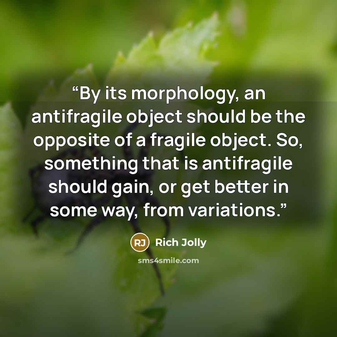 “By its morphology, an antifragile object should be the opposite of a fragile object. So, something that is antifragile should gain, or get better in some way, from variations.” quote by Rich Jolly
