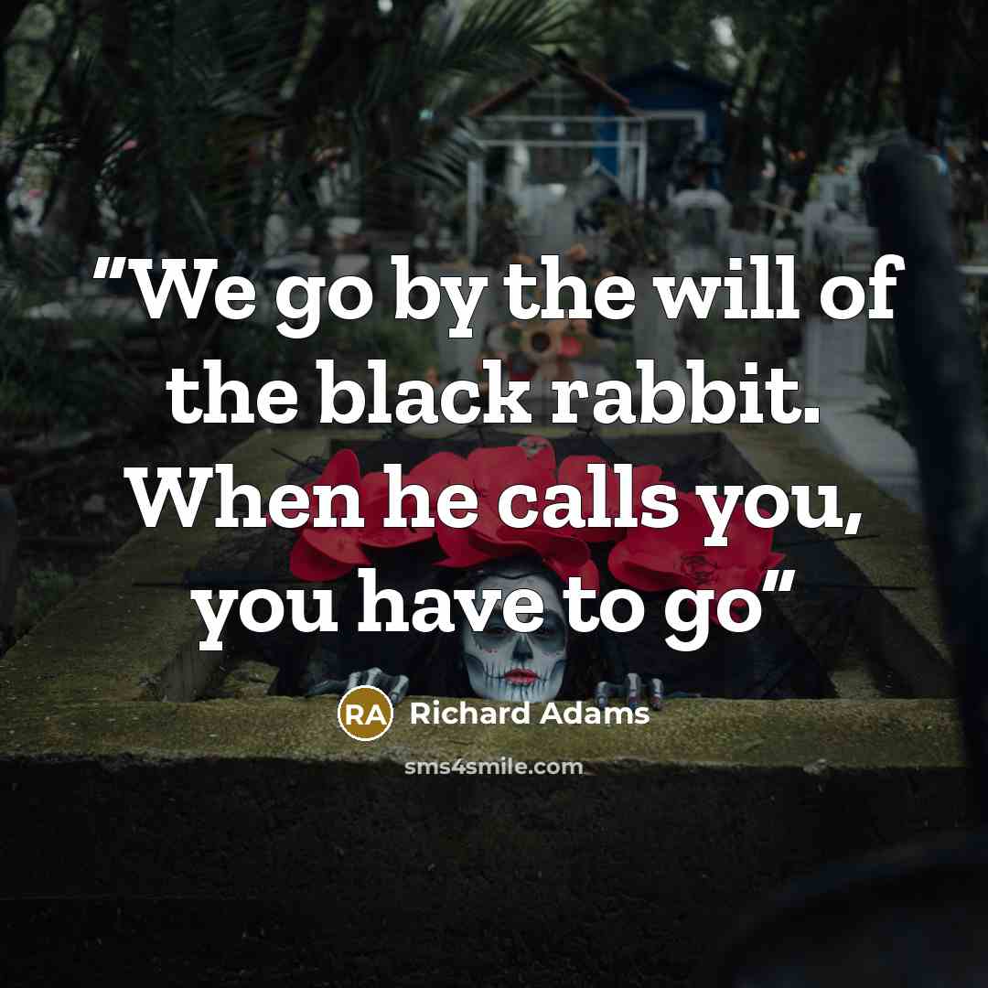 “We go by the will of the black rabbit. When he calls you, you have to go” quote by Richard Adams