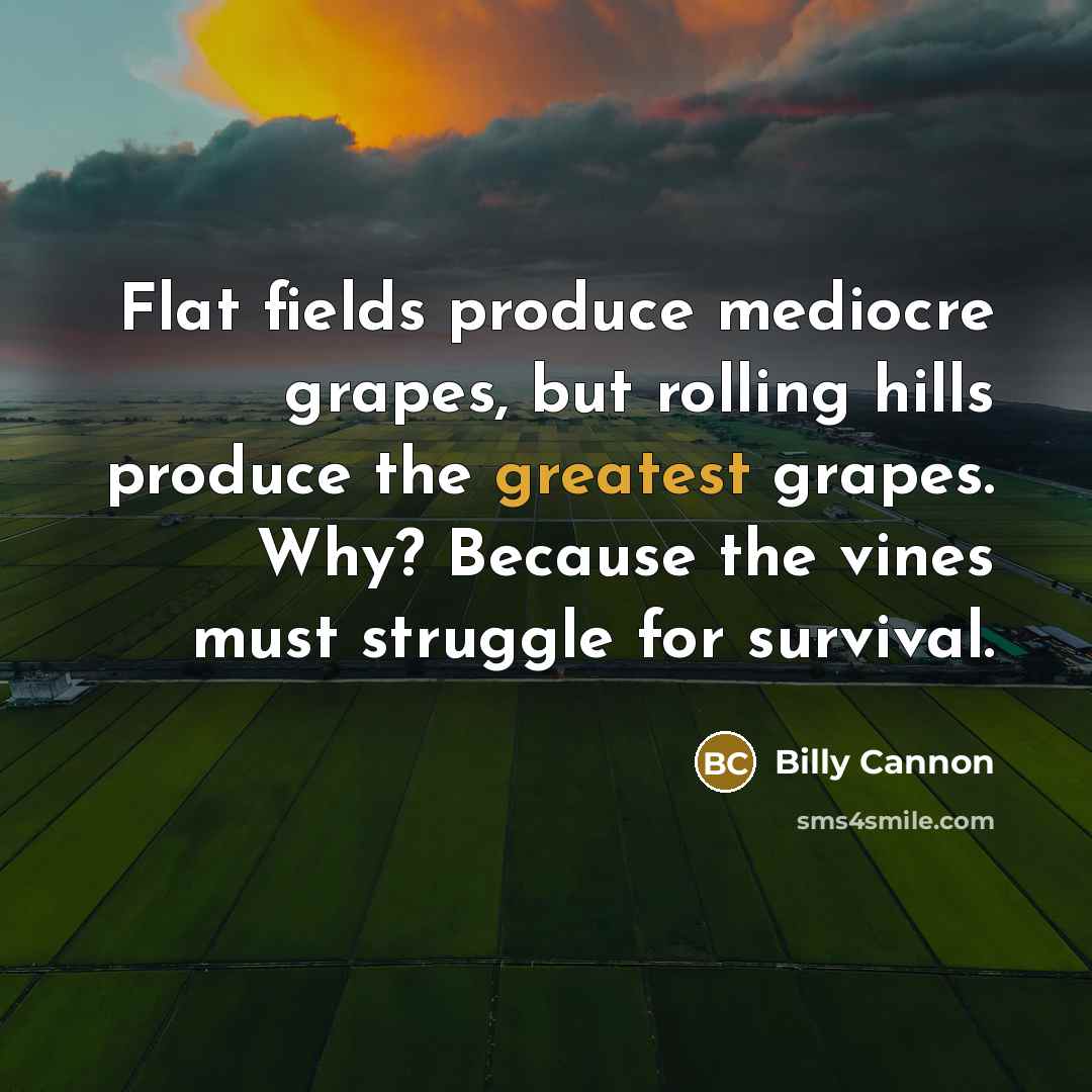 “Flat fields produce mediocre grapes, but rolling hills produce the greatest grapes. Why? Because the vines must struggle for survival.” quote by Billy Cannon