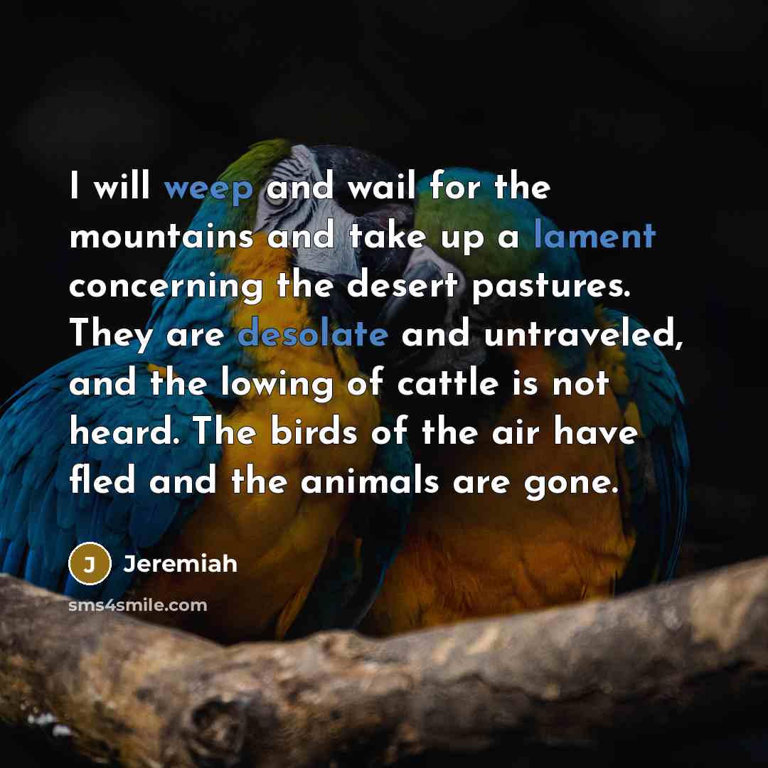 “I will weep and wail for the mountains and take up a lament concerning the desert pastures. They are desolate and untraveled, and the lowing of cattle is not heard. The birds of the air have fled and the animals are gone.” quote by Jeremiah