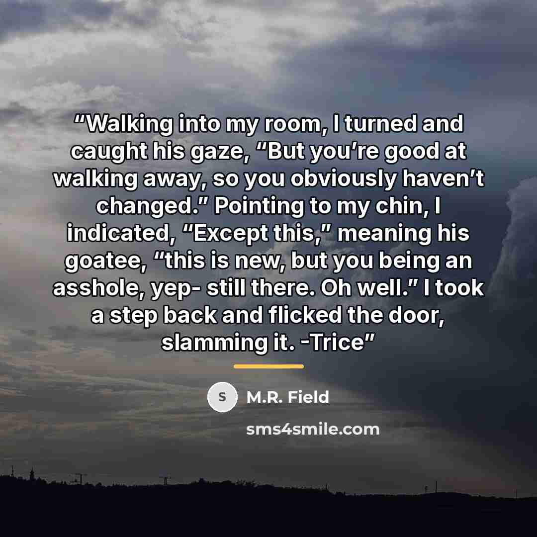 “Walking into my room, I turned and caught his gaze, “But you’re good at walking away, so you obviously haven’t changed.” Pointing to my chin, I indicated, “Except this,” meaning his goatee, “this is new, but you being an asshole, yep- still there. Oh well.” I took a step back and flicked the door…” quote by M.R. Field