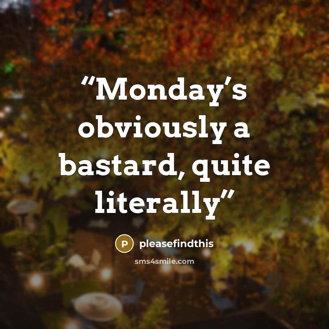 “Monday’s obviously a bastard, quite literally” quote by pleasefindthis