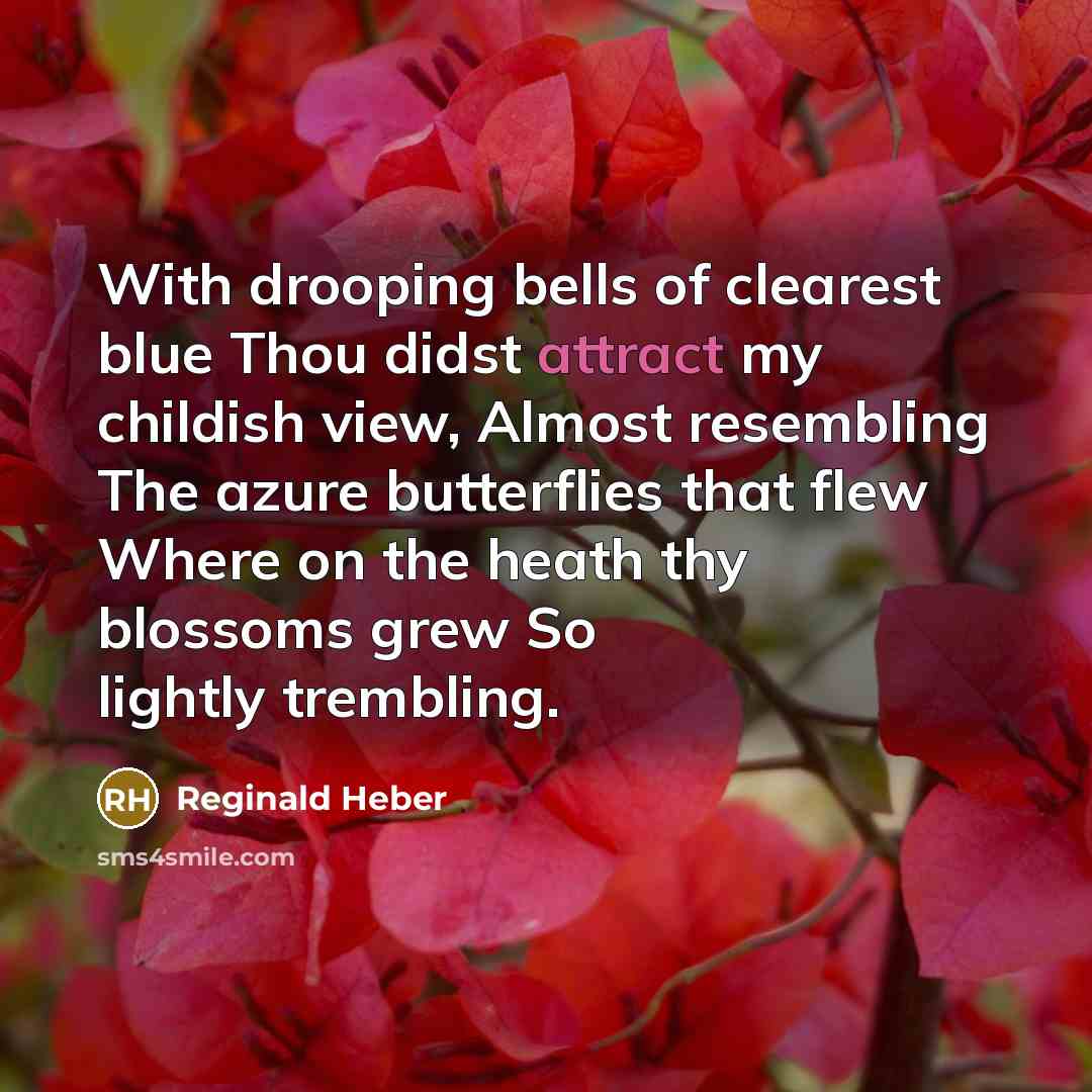 “With drooping bells of clearest blue Thou didst attract my childish view, Almost resembling The azure butterflies that flew Where on the heath thy blossoms grew So lightly trembling.” quote by Reginald Heber