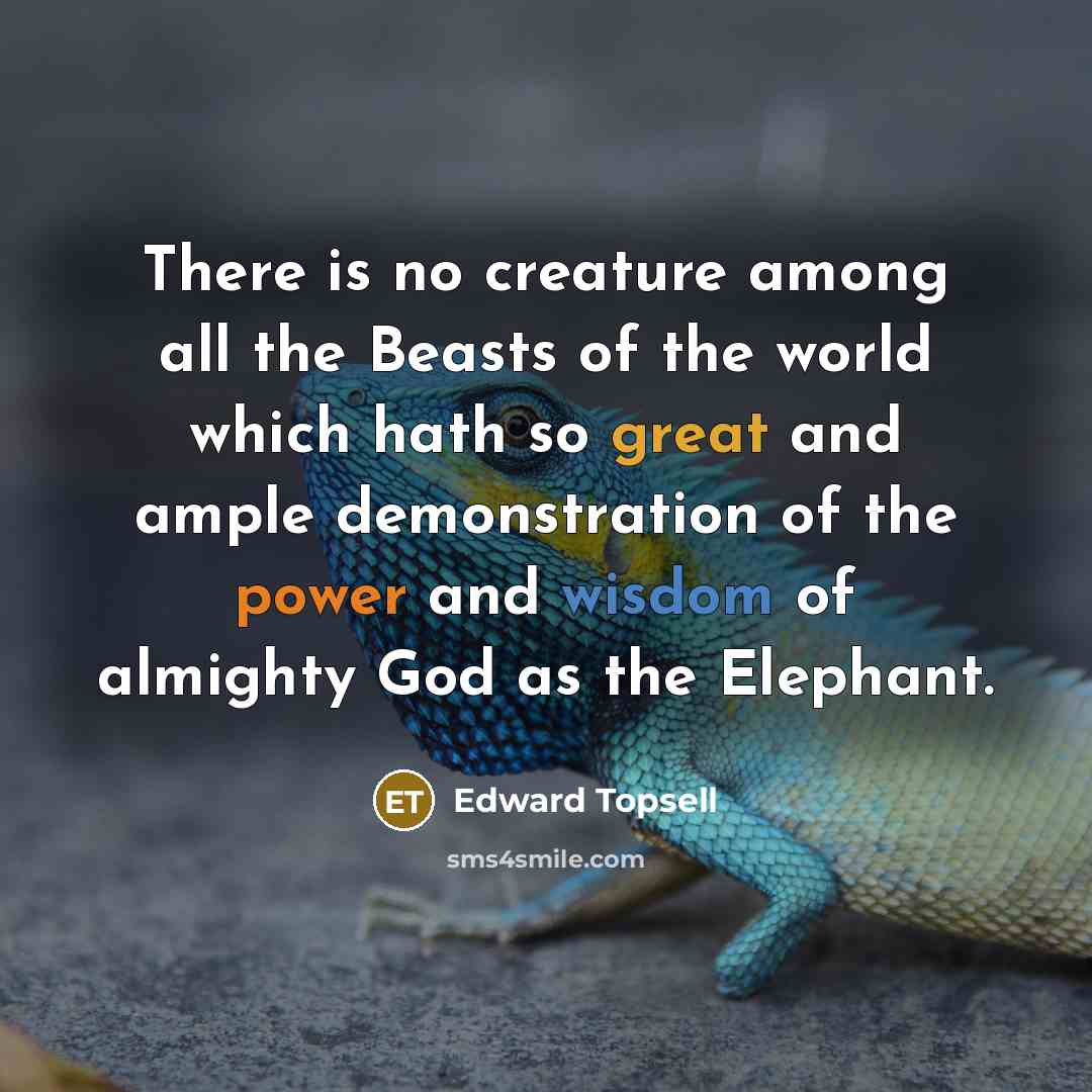 “There is no creature among all the Beasts of the world which hath so great and ample demonstration of the power and wisdom of almighty God as the Elephant.” quote by Edward Topsell