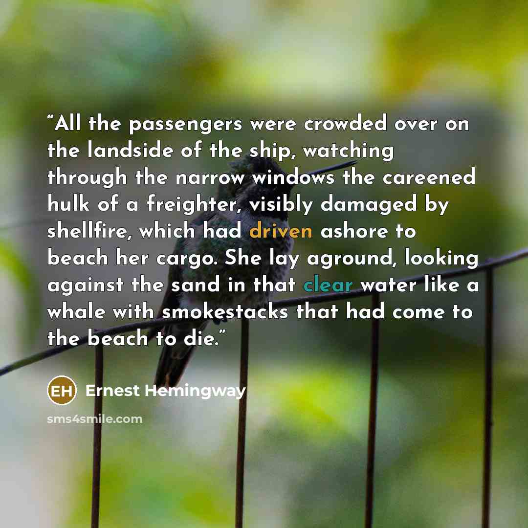 “All the passengers were crowded over on the landside of the ship, watching through the narrow windows the careened hulk of a freighter, visibly damaged by shellfire, which had driven ashore to beach her cargo. She lay aground, looking against the sand in that clear water like a whale with…” quote by Ernest Hemingway