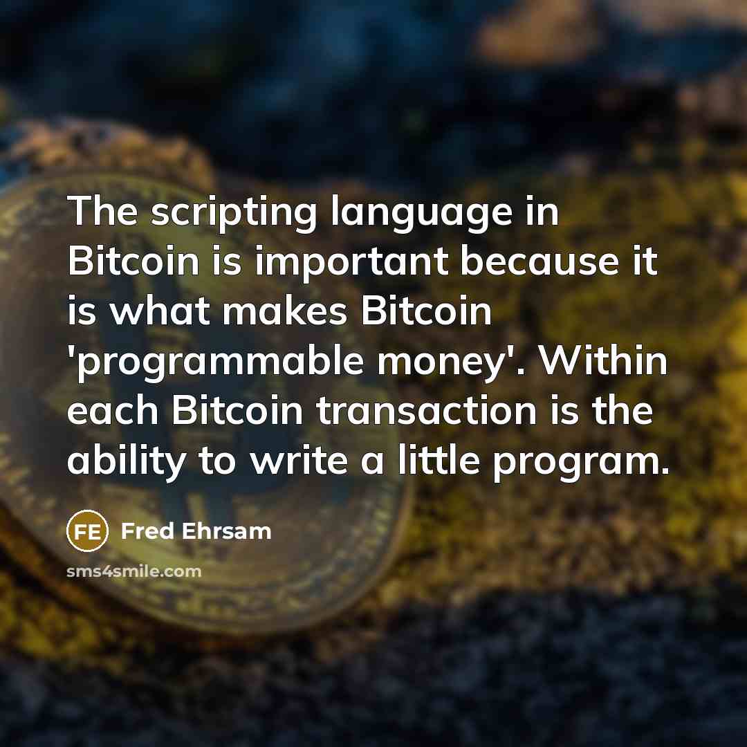 “The scripting language in Bitcoin is important because it is what makes Bitcoin 'programmable money'. Within each Bitcoin transaction is the ability to write a little program.” quote by Fred Ehrsam