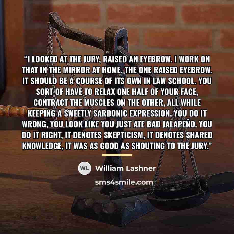 “I looked at the jury, raised an eyebrow. I work on that in the mirror at home, the one raised eyebrow. It should be a course of its own in law school. You sort of have to relax one half of your face, contract the muscles on the other, all while keeping a sweetly sardonic expression. You do it…” quote by William Lashner