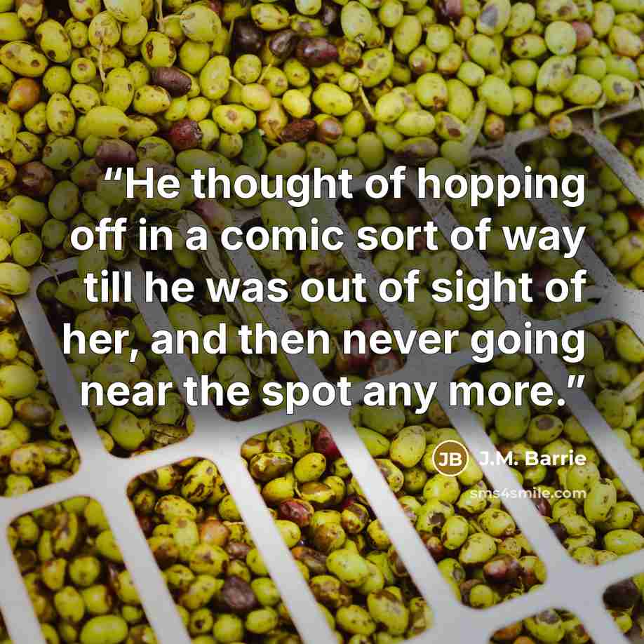 “He thought of hopping off in a comic sort of way till he was out of sight of her, and then never going near the spot any more.” quote by J.M. Barrie