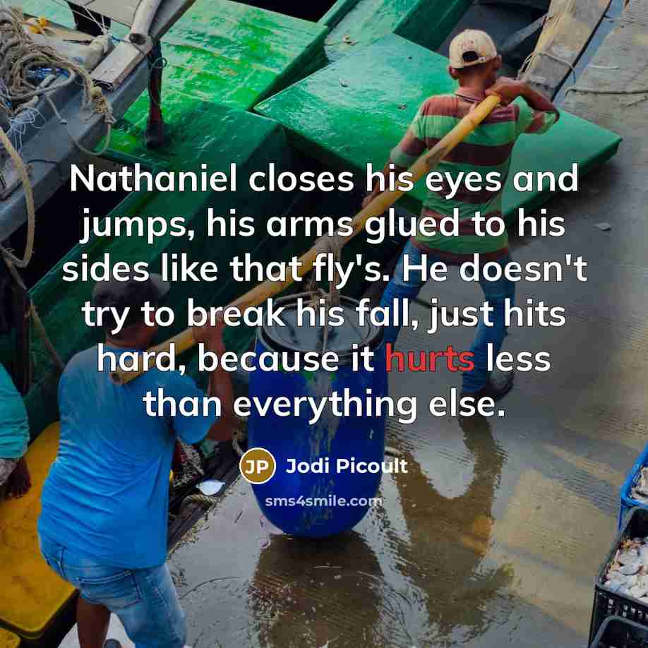 “Nathaniel closes his eyes and jumps, his arms glued to his sides like that fly's. He doesn't try to break his fall, just hits hard, because it hurts less than everything else.” quote by Jodi Picoult