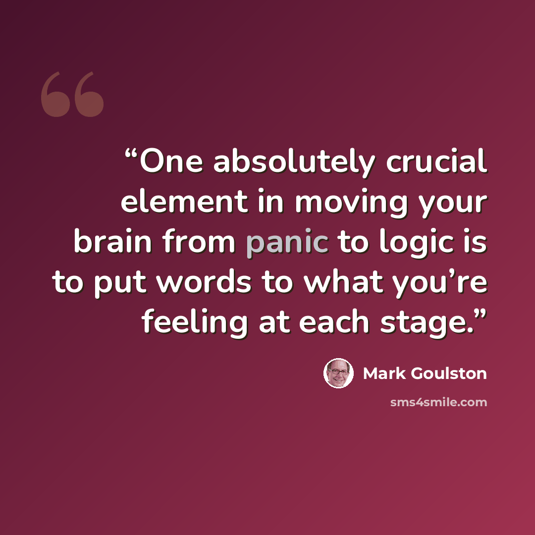 “One absolutely crucial element in moving your brain from panic to logic is to put words to what you’re feeling at each stage.” quote by Mark Goulston