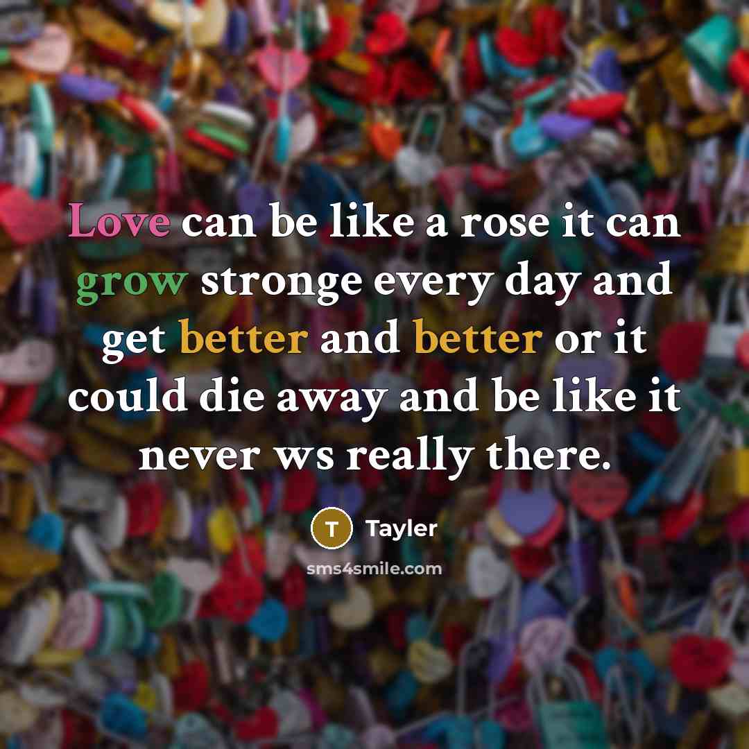 “Love can be like a rose it can grow stronge every day and get better and better or it could die away and be like it never ws really there.” quote by Tayler
