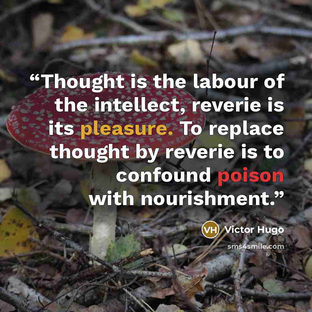 “Thought is the labour of the intellect, reverie is its pleasure. To replace thought by reverie is to confound poison with nourishment.” quote by Victor Hugo