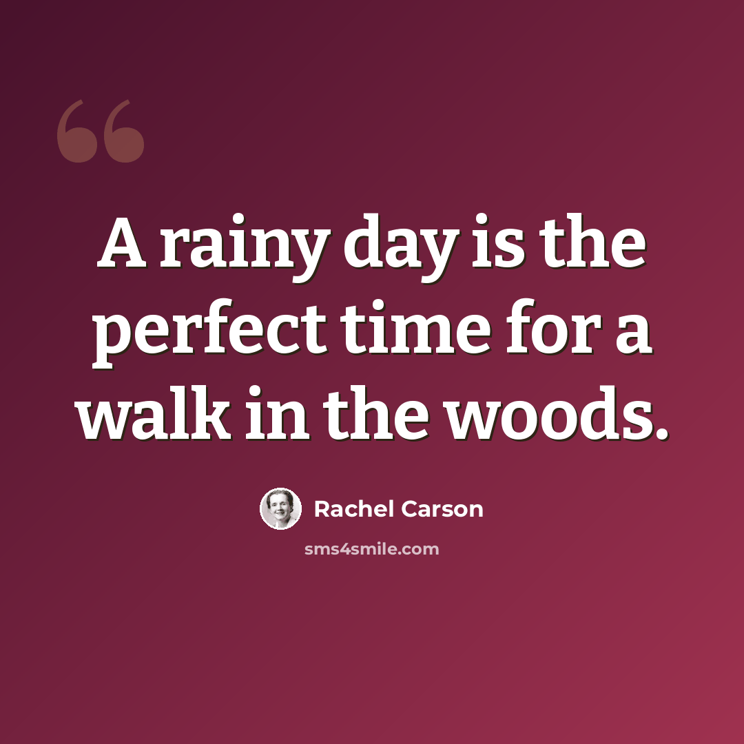 “A rainy day is the perfect time for a walk in the woods.” quote by Rachel Carson
