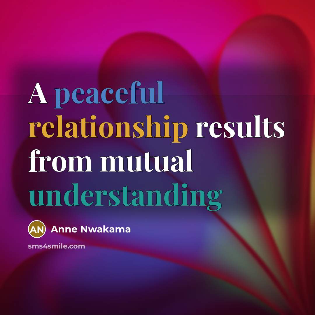 “A peaceful relationship results from mutual understanding” quote by Anne Nwakama