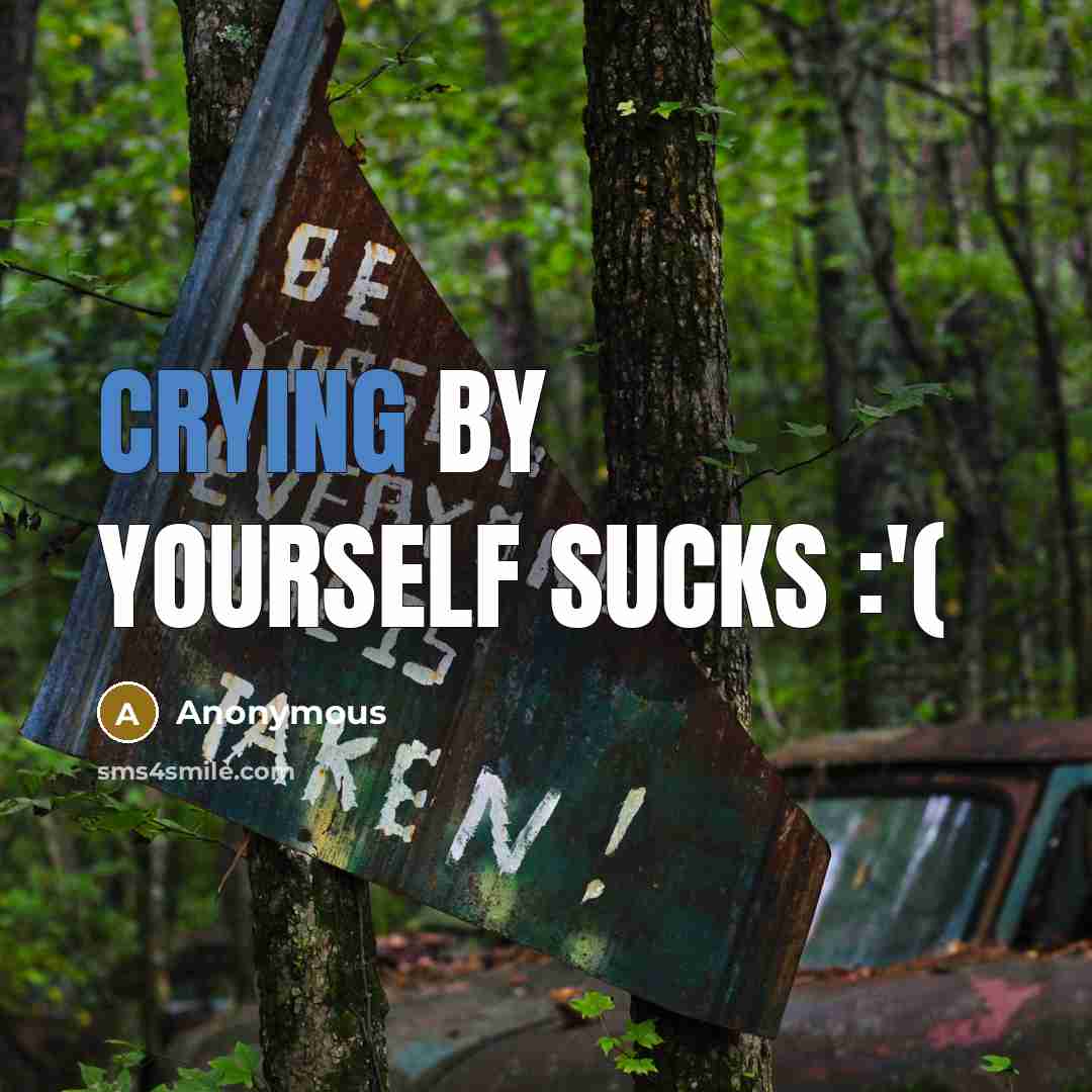 “Crying by yourself sucks :'(” quote by Anonymous