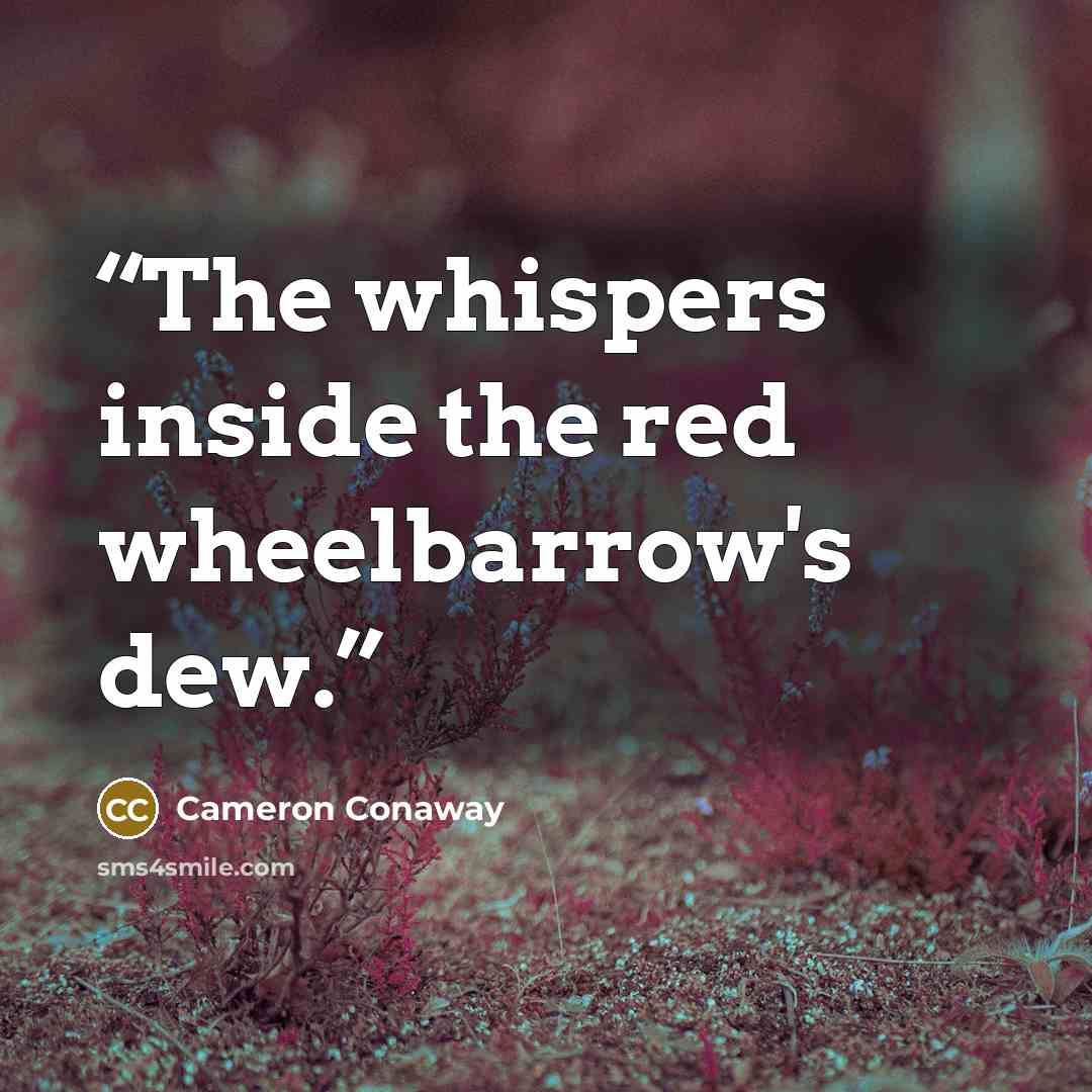 “The whispers inside the red wheelbarrow's dew.” quote by Cameron Conaway