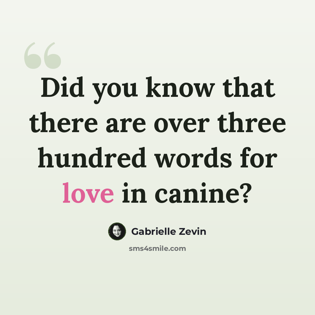 “Did you know that there are over three hundred words for love in canine?” quote by Gabrielle Zevin