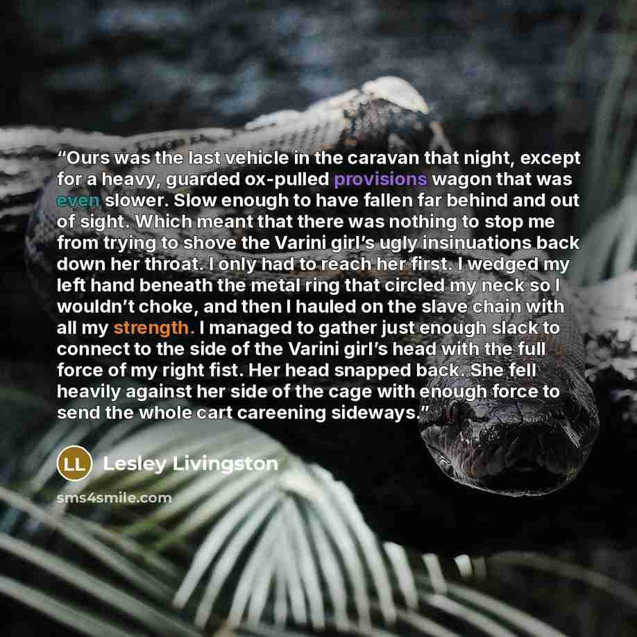 “Ours was the last vehicle in the caravan that night, except for a heavy, guarded ox-pulled provisions wagon that was even slower. Slow enough to have fallen far behind and out of sight. Which meant that there was nothing to stop me from trying to shove the Varini girl’s ugly insinuations back down…” quote by Lesley Livingston