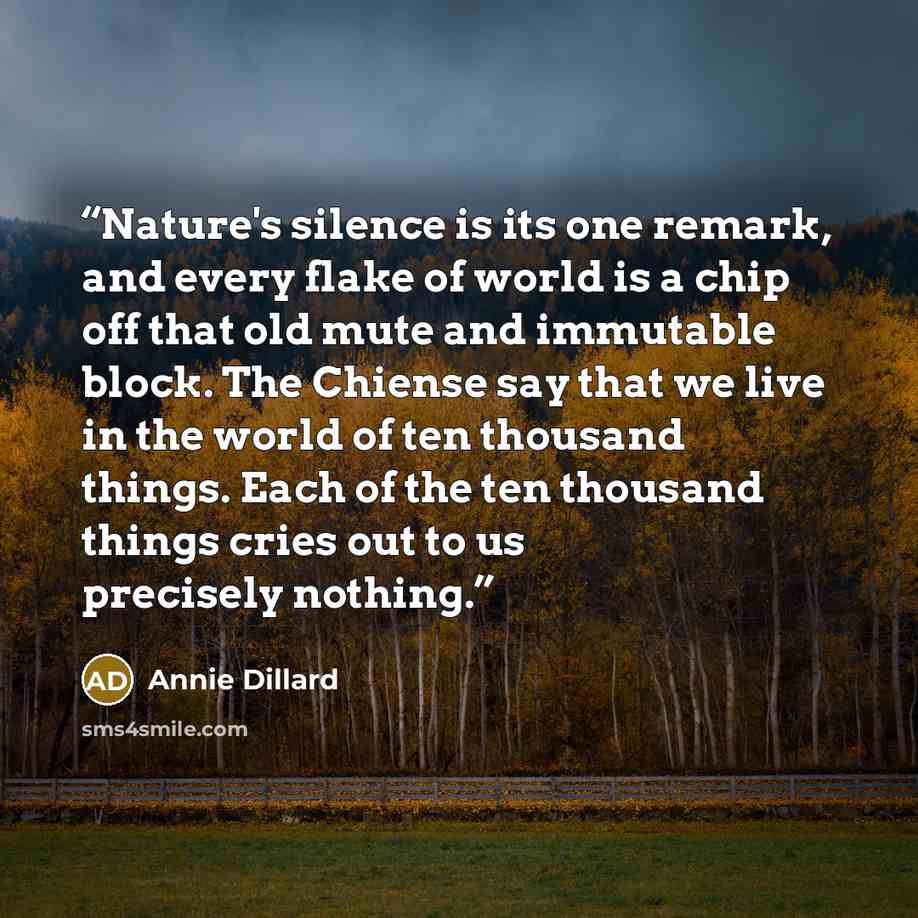 “Nature's silence is its one remark, and every flake of world is a chip off that old mute and immutable block. The Chiense say that we live in the world of ten thousand things. Each of the ten thousand things cries out to us precisely nothing.” quote by Annie Dillard