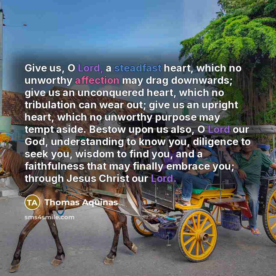 “Give us, O Lord, a steadfast heart, which no unworthy affection may drag downwards; give us an unconquered heart, which no tribulation can wear out; give us an upright heart, which no unworthy purpose may tempt aside. Bestow upon us also, O Lord our God, understanding to know you, diligence to…” quote by Thomas Aquinas
