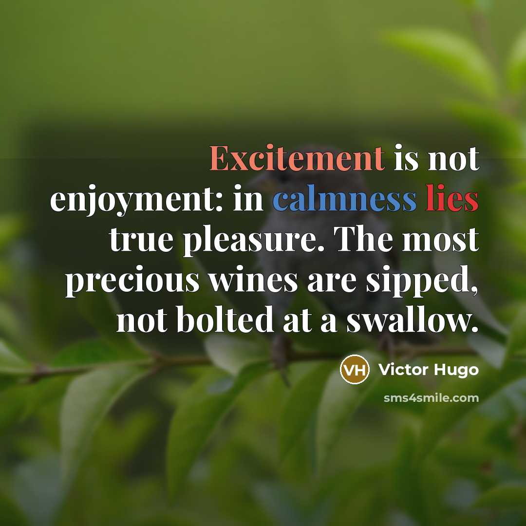 “Excitement is not enjoyment: in calmness lies true pleasure. The most precious wines are sipped, not bolted at a swallow.” quote by Victor Hugo