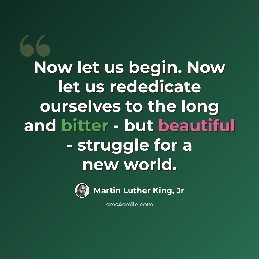 “Now let us begin. Now let us rededicate ourselves to the long and bitter - but beautiful - struggle for a new world.” quote by Martin Luther King, Jr
